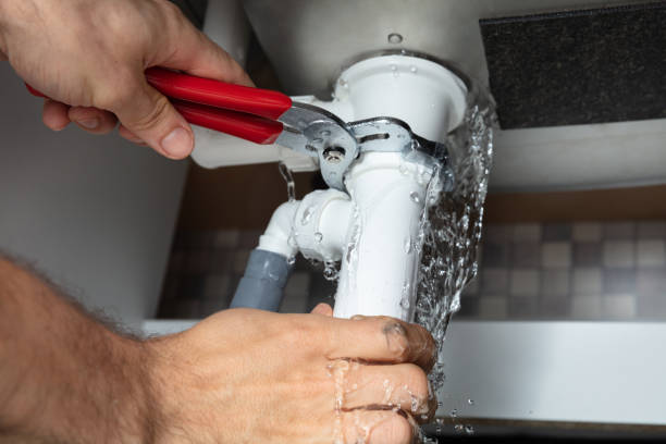 Best Professional water damage repair  in Lynchburg, TN