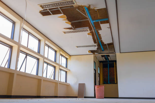 Best Water damage repair service  in Lynchburg, TN