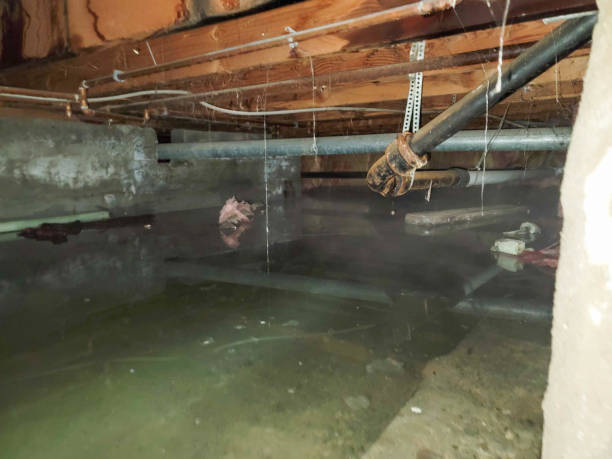 Lynchburg, TN Water damage restoration Company