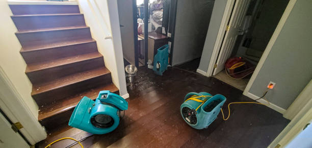 Best 24/7 water damage repair  in Lynchburg, TN