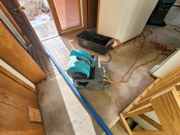 Best Carpet water damage restoration  in Lynchburg, TN