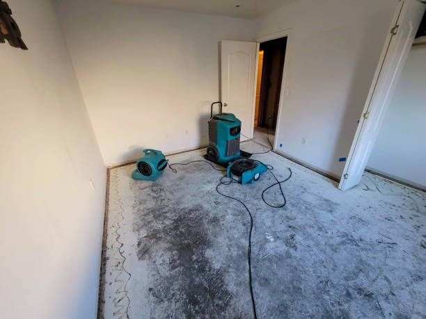 Best Water damage contractors near me  in Lynchburg, TN