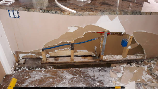 Best Ceiling water damage repair  in Lynchburg, TN