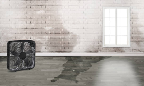 Best 24-hour water damage restoration  in Lynchburg, TN