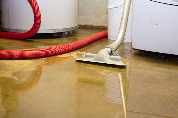 Best Flood damage cleanup  in Lynchburg, TN