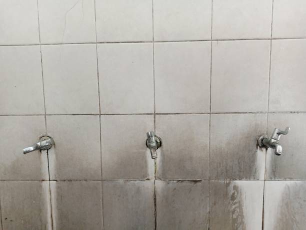 Best Local water damage restoration  in Lynchburg, TN