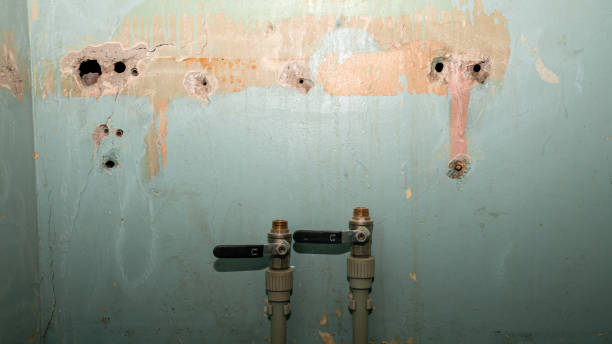 Best Water damage cleanup near me  in Lynchburg, TN
