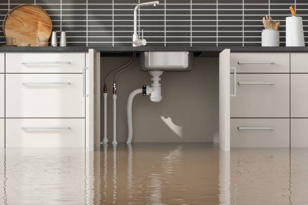 Best Professional water damage repair  in Lynchburg, TN