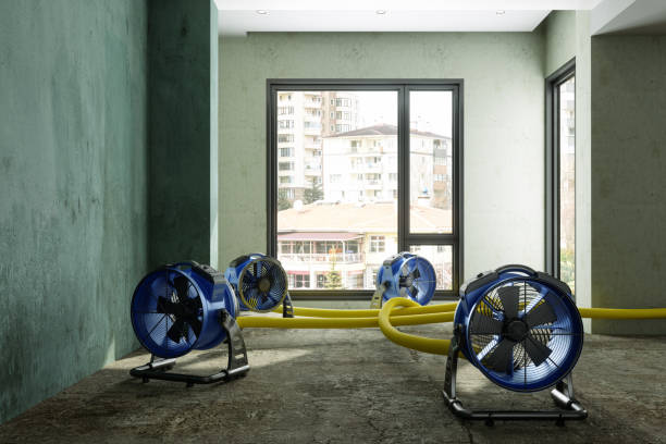 Best Ceiling water damage repair  in Lynchburg, TN